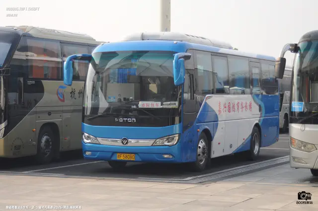 浙F 58080