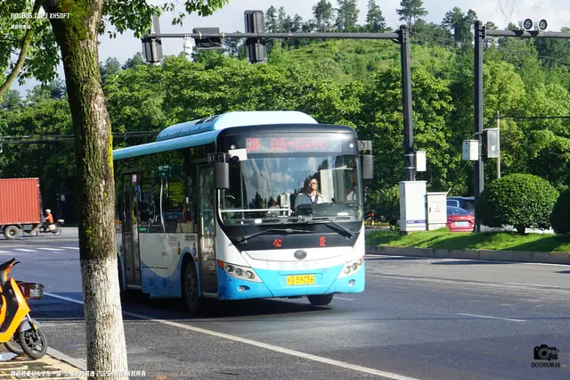 浙G 59036
