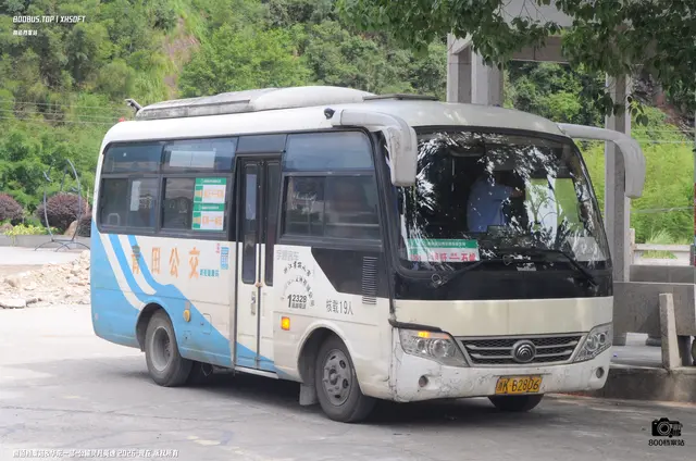 浙K B2806