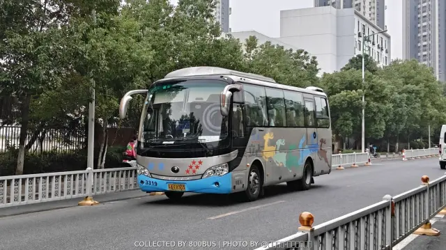 苏A E8303