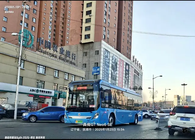 辽D 09971D