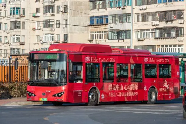 辽B 08171D