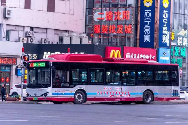 辽B 09612D