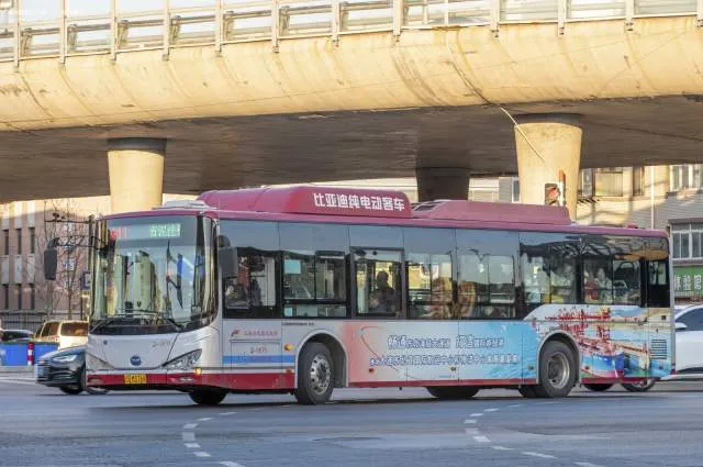 辽B M3768