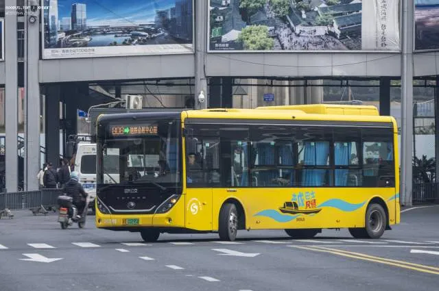 浙D 03295D