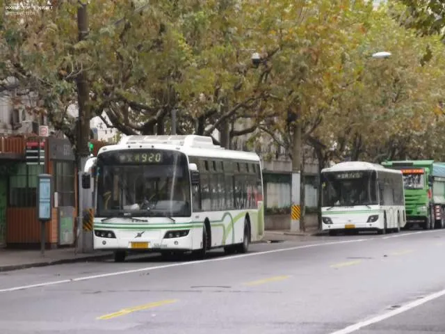 沪B D2021