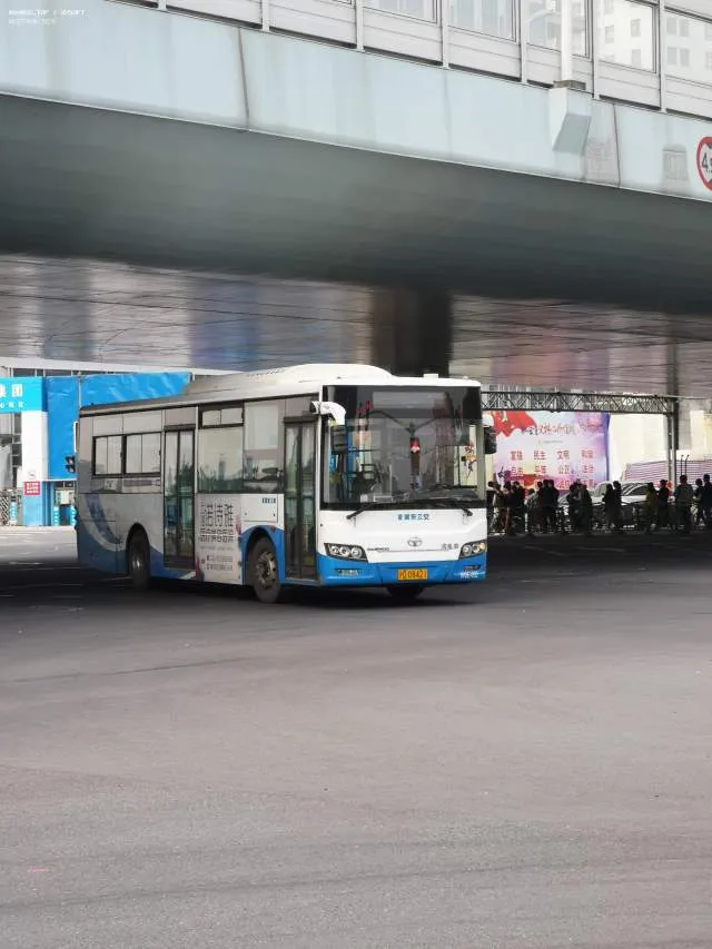 沪D 08421