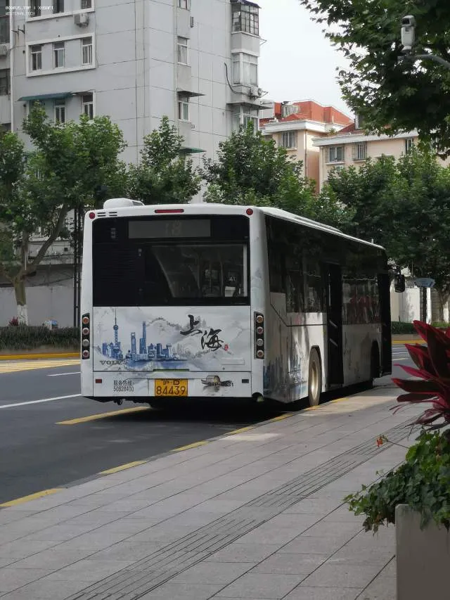 沪D 84439