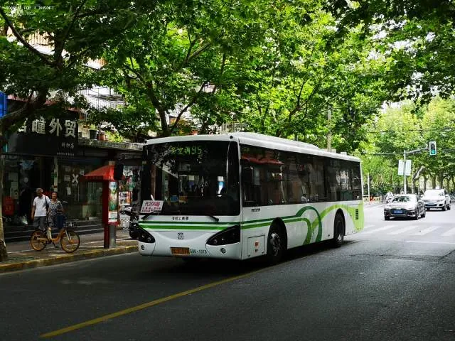 沪D 97998