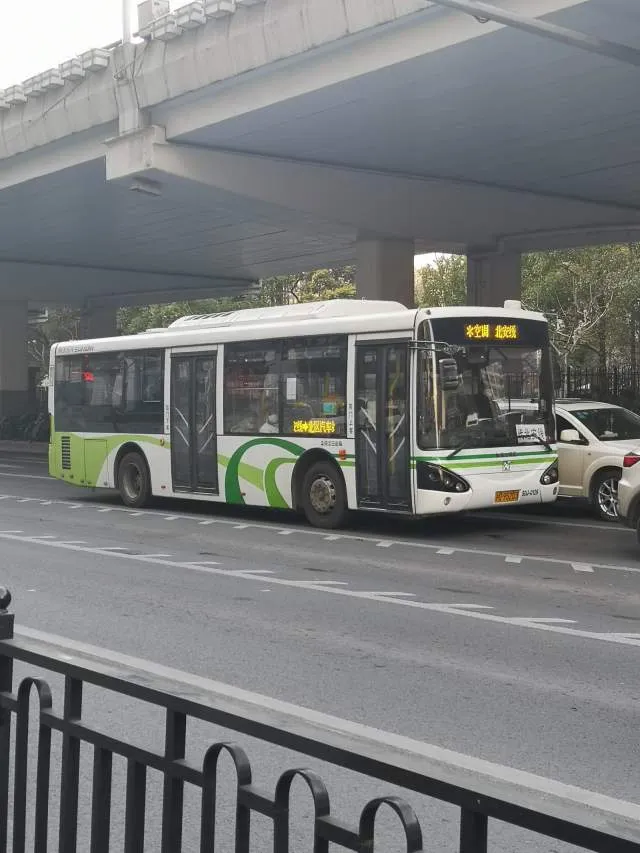 沪D 95203
