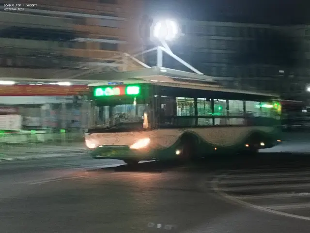 800BUS