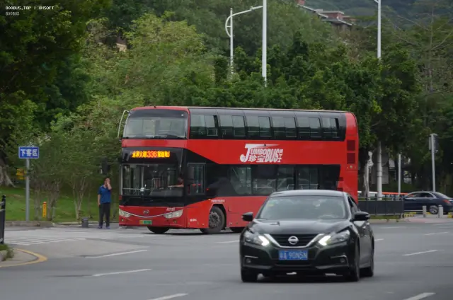 800BUS
