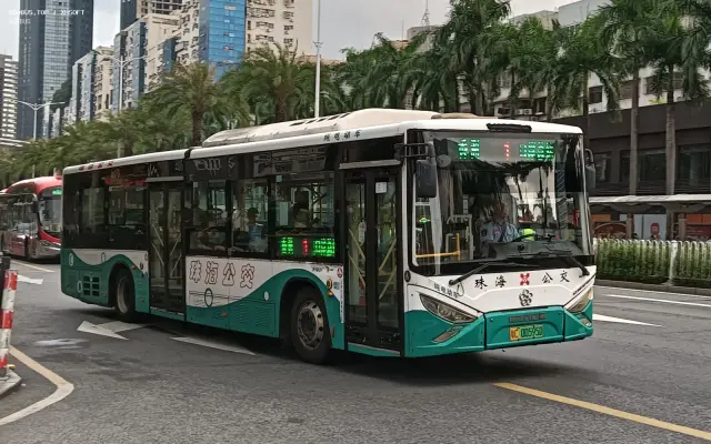 800BUS