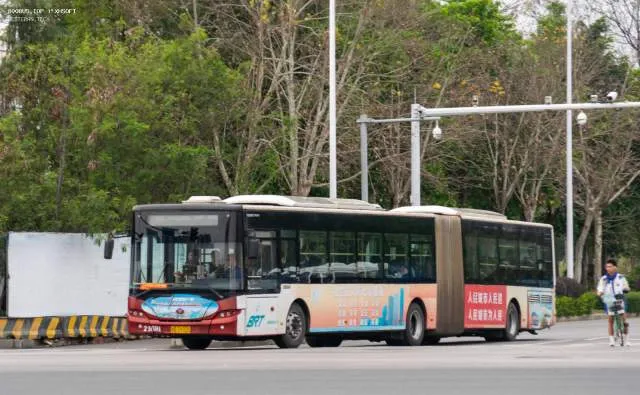 桂B 39325
