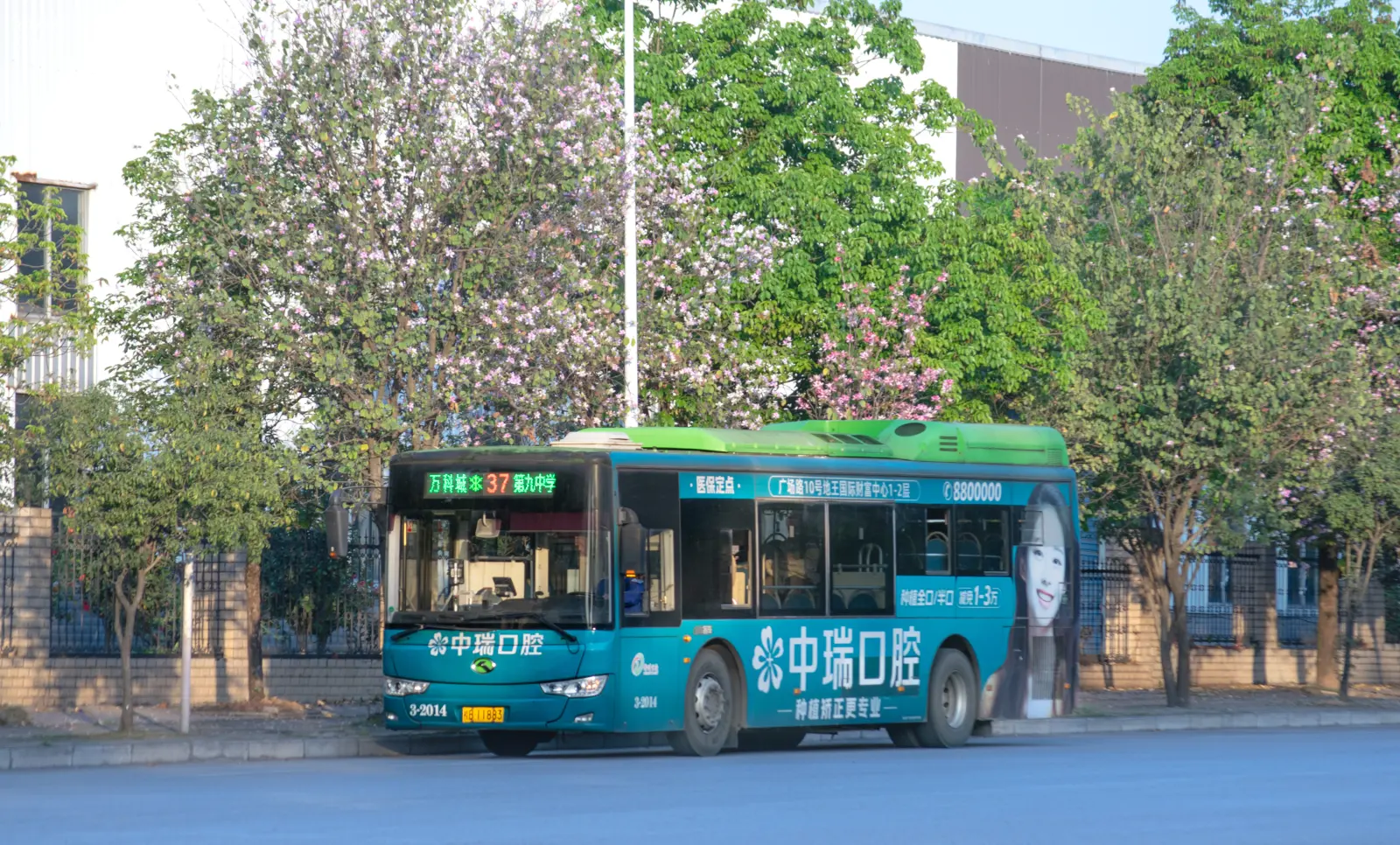 Bus Archive