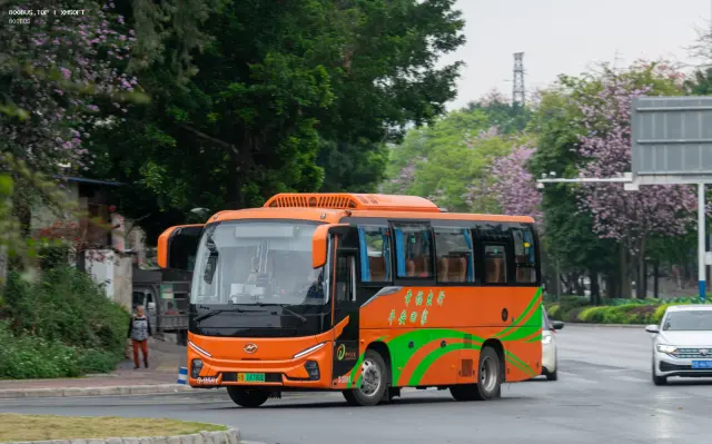 桂B 14788D