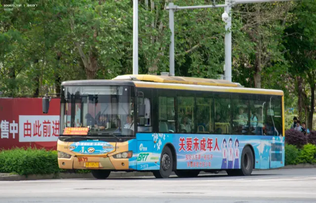800BUS