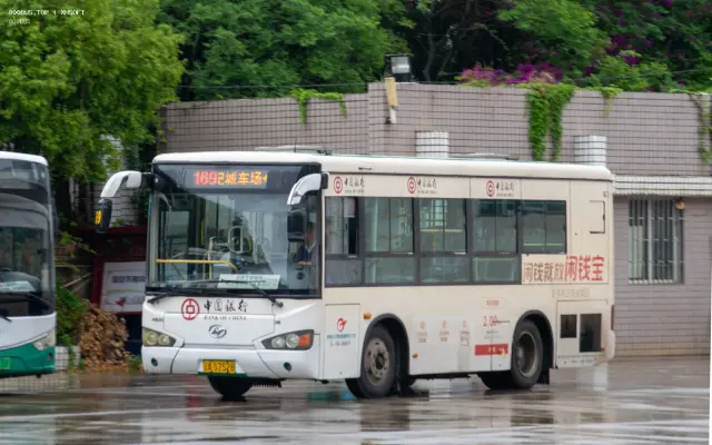 800BUS