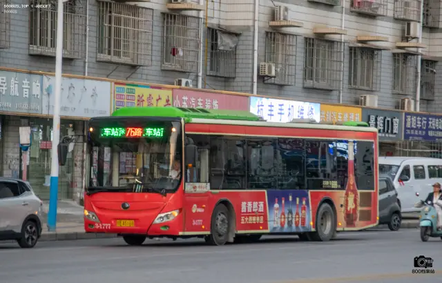 800BUS