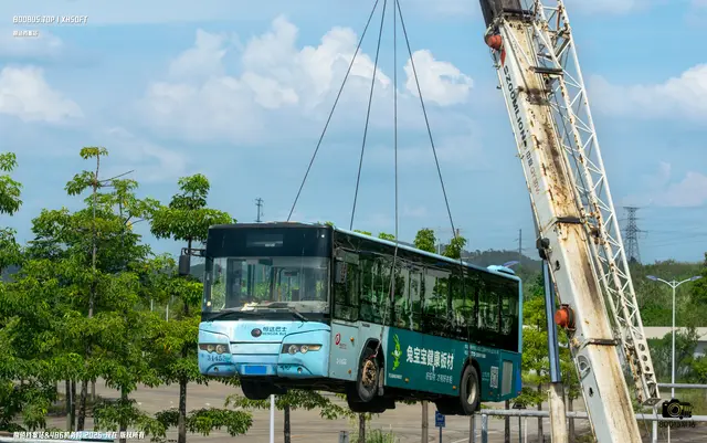 800BUS