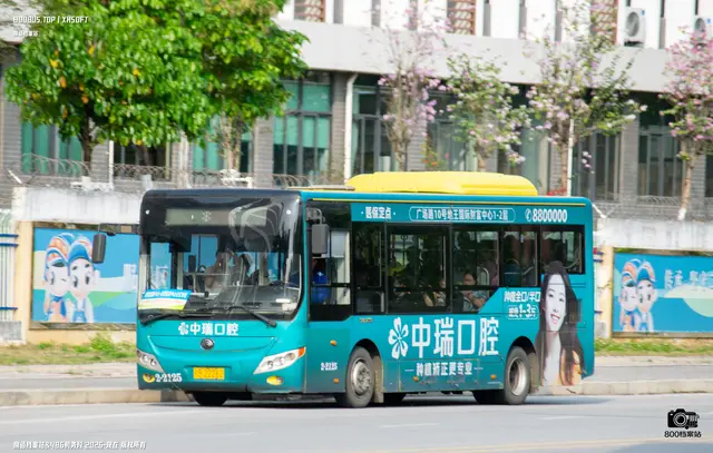 800BUS