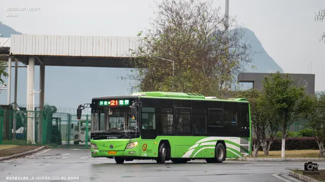 800BUS