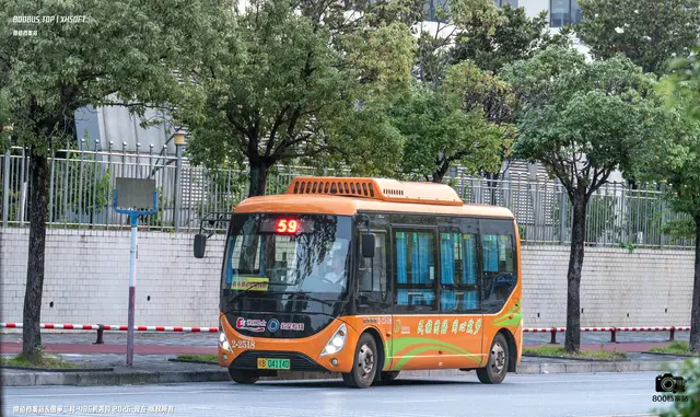 桂B 04114D