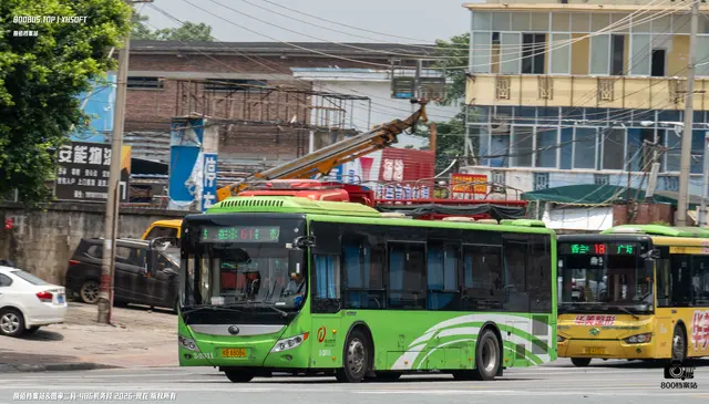 800BUS