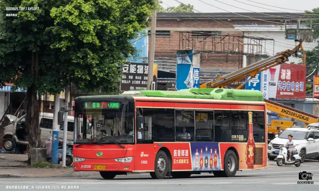 800BUS