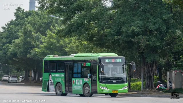 800BUS