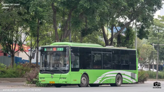 800BUS