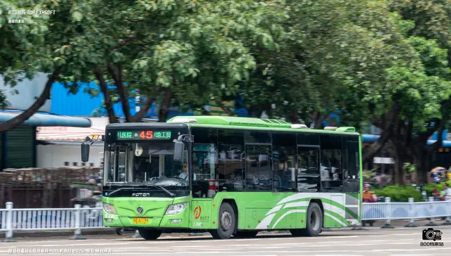800BUS
