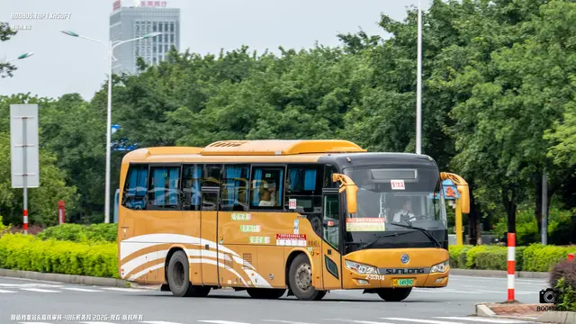 800BUS