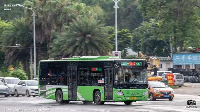 800BUS