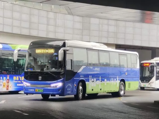浙A 06973D