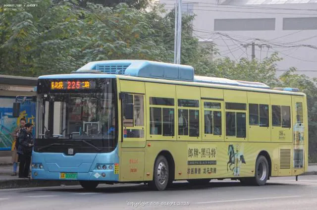 800BUS