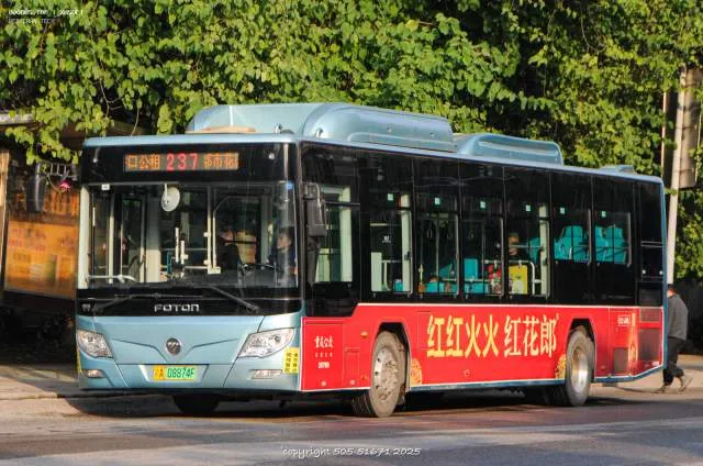 800BUS