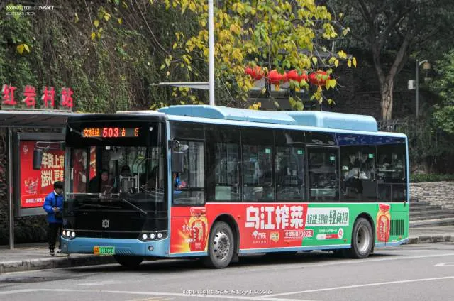 渝A·11602D