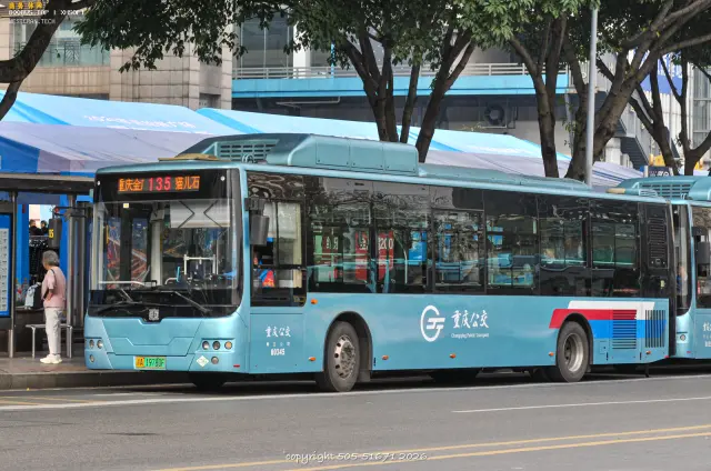 800BUS