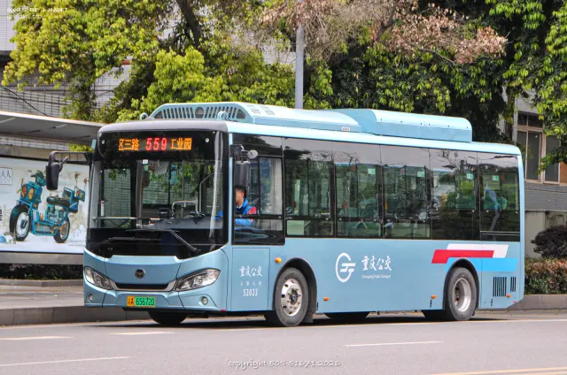 800BUS