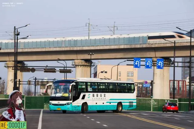 浙A9M014