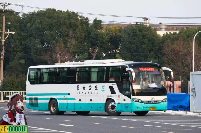浙A9M014