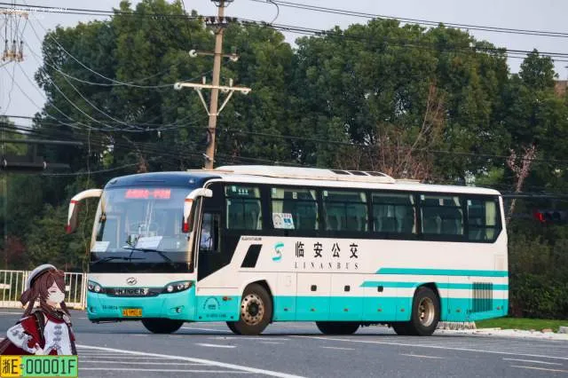 浙A9M014
