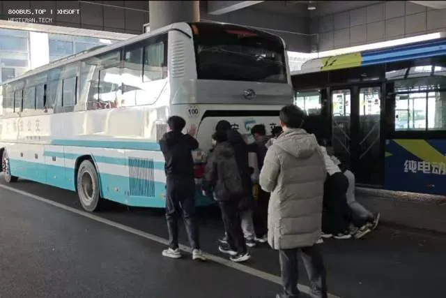 800BUS