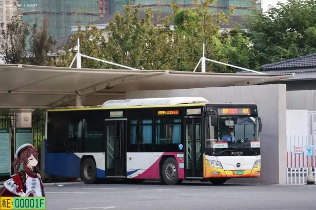 浙E06770D