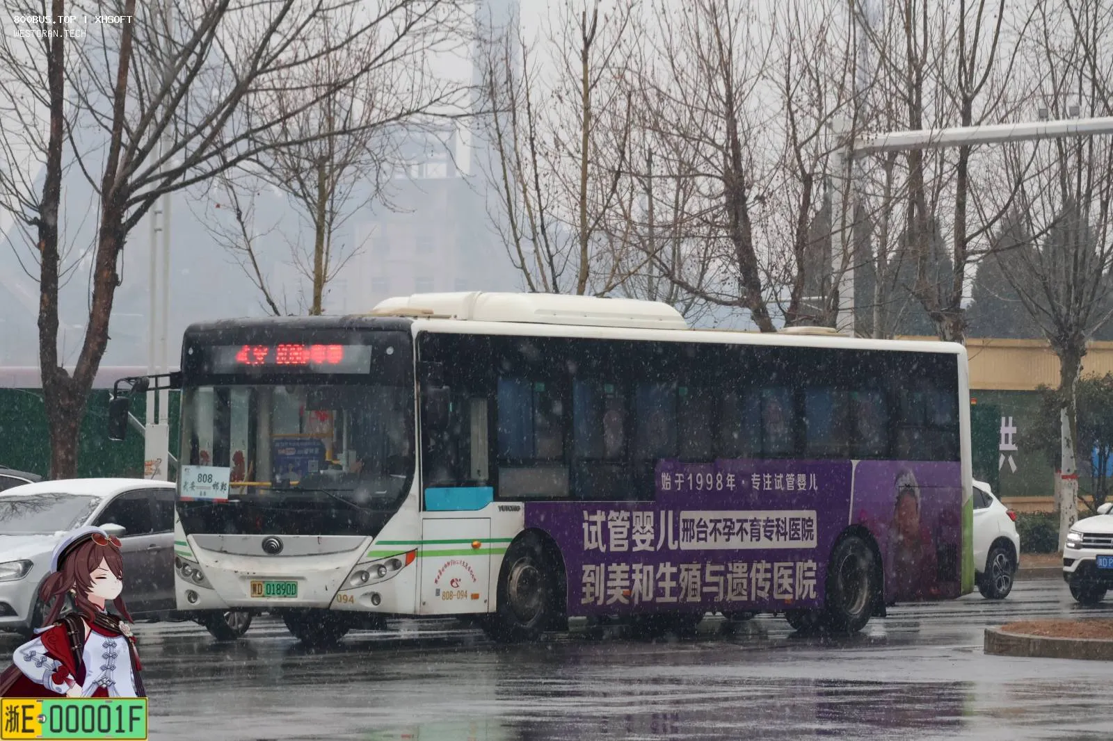 Bus Archive