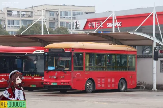 浙E05178D