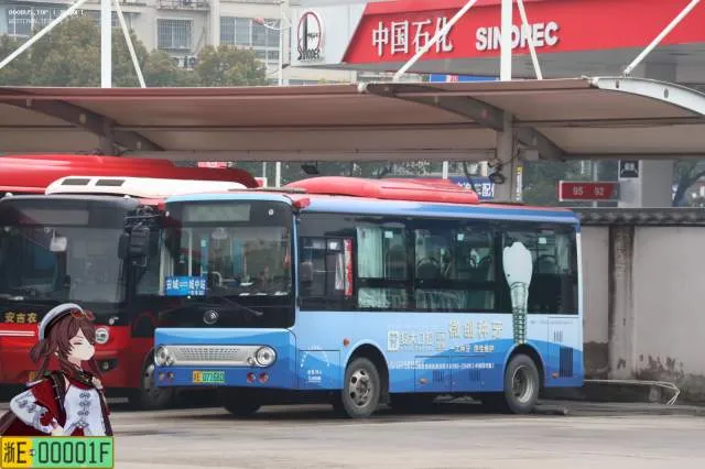 浙E07168D