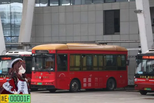 浙E08109D