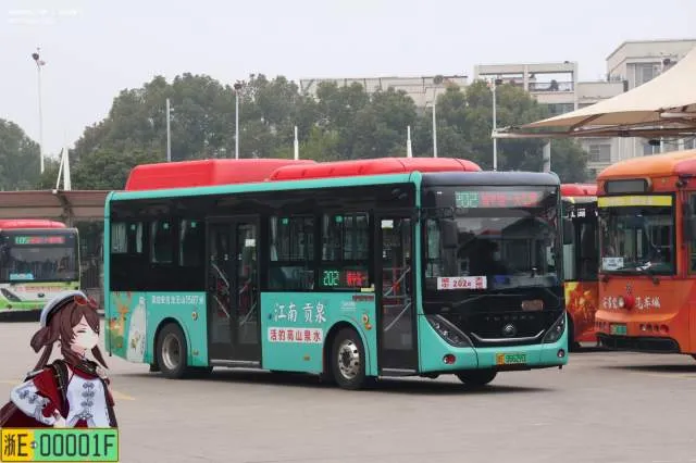 浙E06629D